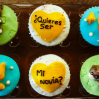 cupcakes-gatos-patos-personalizados-caprichitos-dulces-45